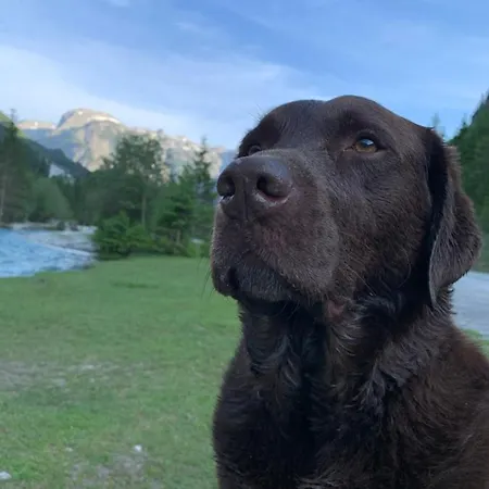 ゲストハウス Haus Salzburgerland